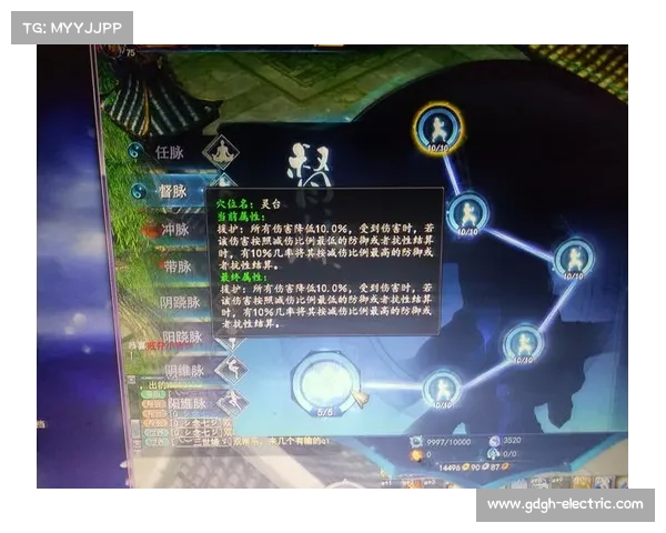 十种适合玄冰武魂加点方案详解,帮助你选择最合适的战斗策略 十种适合玄冰武魂加点方案详解,帮助你选择最合适的战斗策略