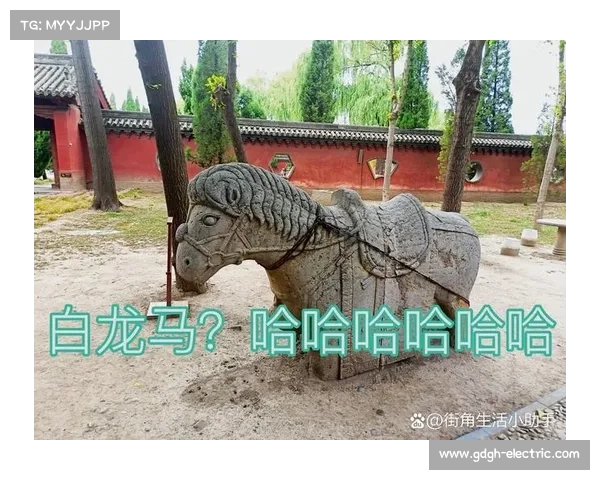 人鱼之心的秘密与深海传奇的真相揭示深海未解之谜与古老传说的背后玄机 人鱼之心的秘密与深海传奇的真相揭示深海未解之谜与古老传说的背后玄机