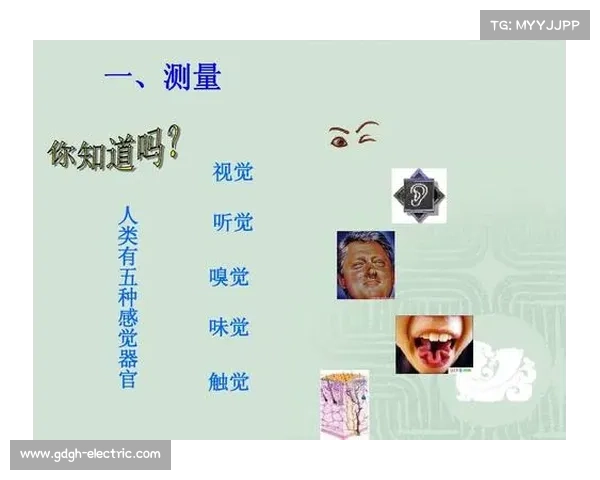 失明者如何通过训练提升听觉触觉等感知技能以适应生活挑战 失明者如何通过训练提升听觉触觉等感知技能以适应生活挑战