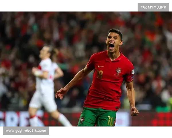 全面掌握葡萄牙各大足球球队名称的实用入门方法详解指南全面篇集 全面掌握葡萄牙各大足球球队名称的实用入门方法详解指南全面篇集